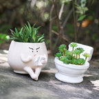 Toilet Planter